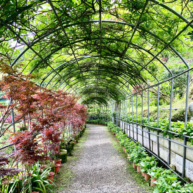 台北· 大梯田花卉生態農園