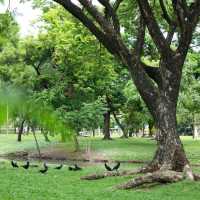 武吉巴督自然公園～城市綠洲