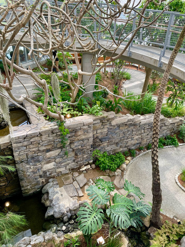 兵庫　リニューアルオープンしたての公園🌿