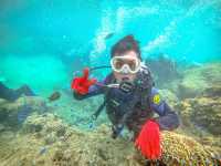 「沖繩潛水探險，春天好去處」
