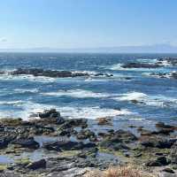 大洗海岸：原始海灘，春天好去處