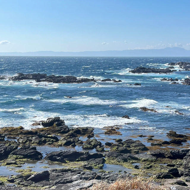 大洗海岸：原始海灘，春天好去處