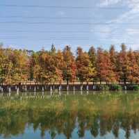 後灘濕地公園:自然王國