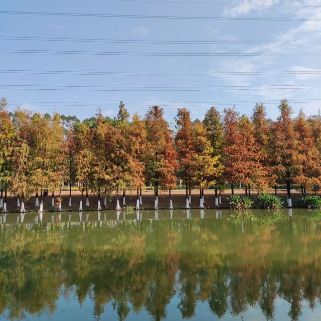 後灘濕地公園:自然王國 後灘濕地公園:自然王國