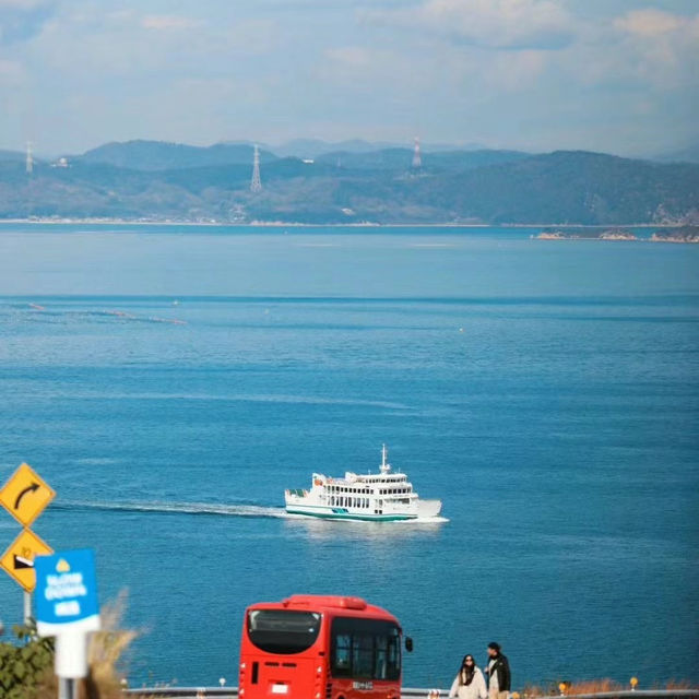 【橫間海岸】自然寶島，春天好去處！