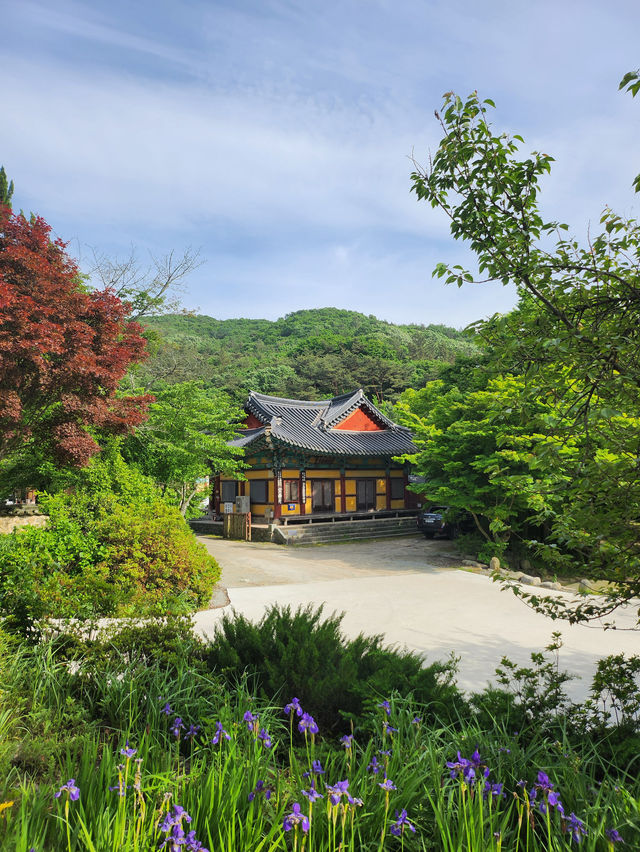 인공폭포와 꽃구경 하기 좋은 전북 사찰💚
