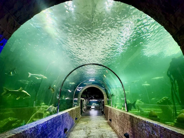 Sisaket Aquarium