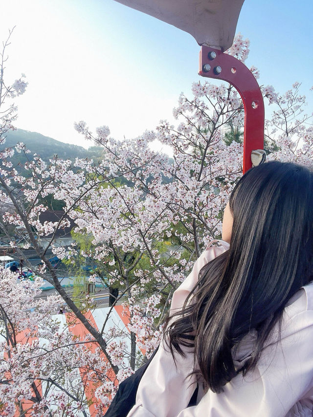 🎡16,000원 내고 하늘자전거만 타고 온 썰,,, 이거 맞아?,,,
