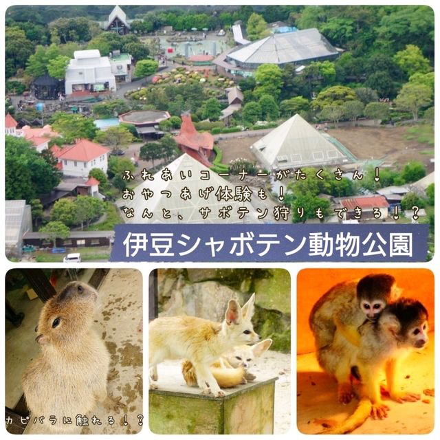 伊豆 観光スポット５選