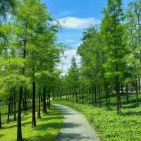 ```東湖公園～適合放鬆的綠色勝地```