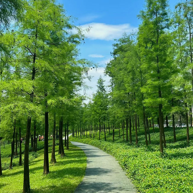 ```東湖公園～適合放鬆的綠色勝地```