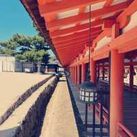 Magical Miyajima Island