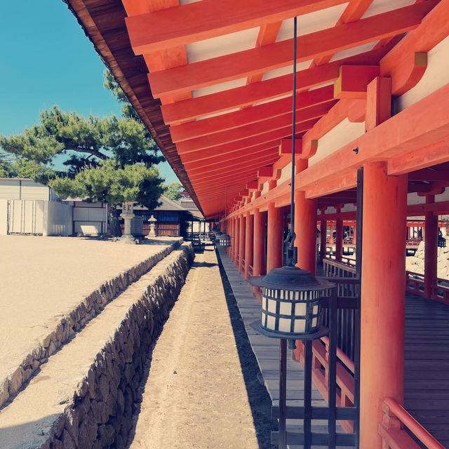 Magical Miyajima Island