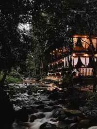 บ้านเล็กในป่าใหญ่ ….. บ้านธารชีวี