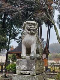 【大分神社】神社の女将さん自らデザインする花手水が美しい