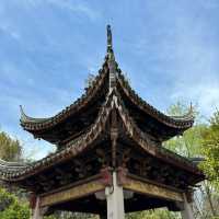 「十里花溪濕地公園：花海夢幻，春色迷人」