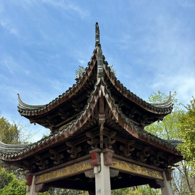 「十里花溪濕地公園：花海夢幻，春色迷人」