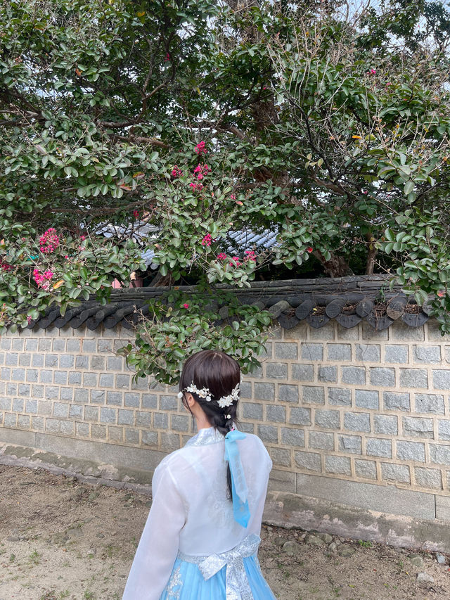 한국의 미가 살아있는 @전주한옥마을