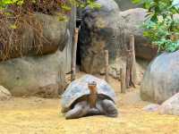 Rotterdam Zoo