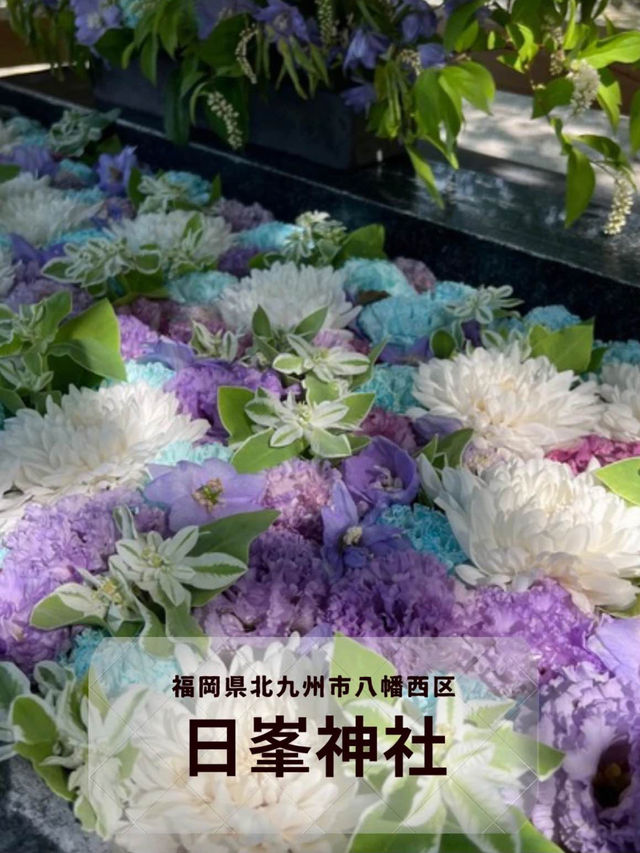 【福岡神社】花手水が美しい北九州の素敵な神社