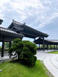 Discovering Peace and Tranquility at Tsz Shan Monastery in Hong Kong