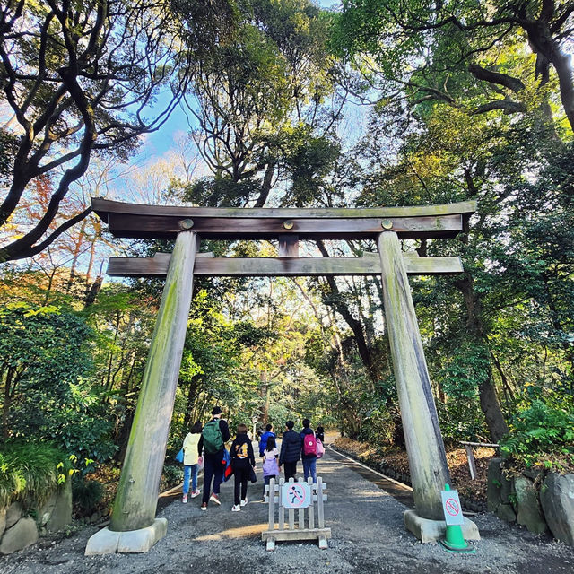 Serenity in the City: Meiji Shrine Enchants!