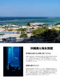 【沖縄】修学旅行ぶりの那覇旅行！おすすめ写真スポット5選！＃039