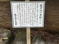 「宮崎鵜戶神宮：懸崖景色、祈福懷孕，自駕40公里45分鐘抵達」