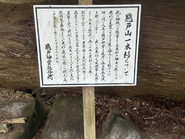 「宮崎鵜戶神宮：懸崖景色、祈福懷孕，自駕40公里45分鐘抵達」