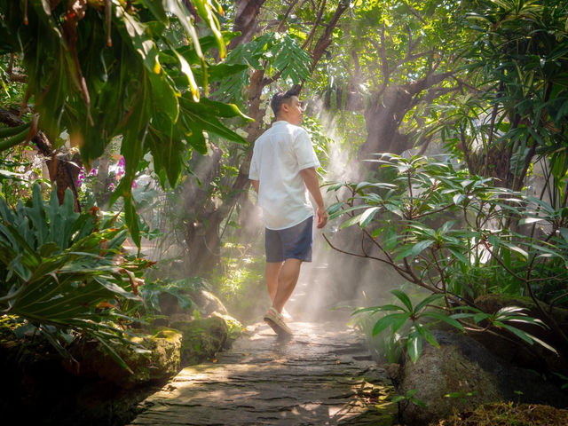 คาเฟ่และร้านอาหารใจกลางกรุง บรรยากาศสวนป่า 🌳🌳