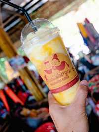 แวะชิมกาแฟ ดอยภูคา ณ ลานดูดาว