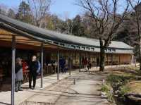 静岡御殿場・とらや工房の赤飯