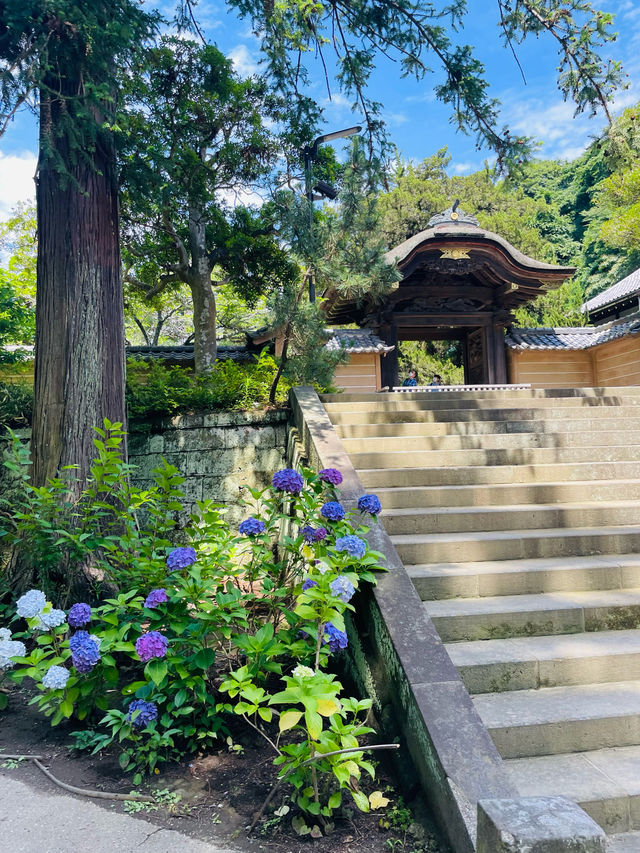 【神奈川県:北鎌倉】美しい庭園が広がる円覚寺　方丈