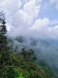 Enchanting Nature Preserve in Cameron Highland