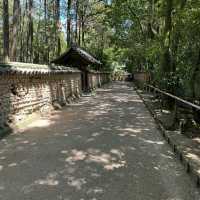 伽耶院：古老寺院庭園，心靈淨化