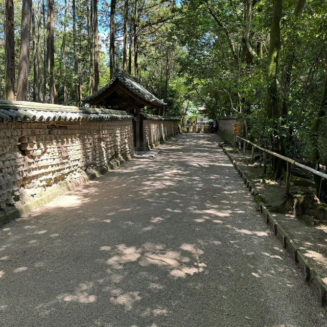 伽耶院：古老寺院庭園，心靈淨化