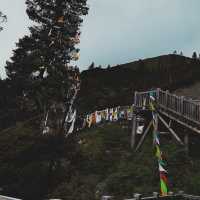 Tianlu Shiba Wan: A Thrilling Journey Along China's Winding Roads