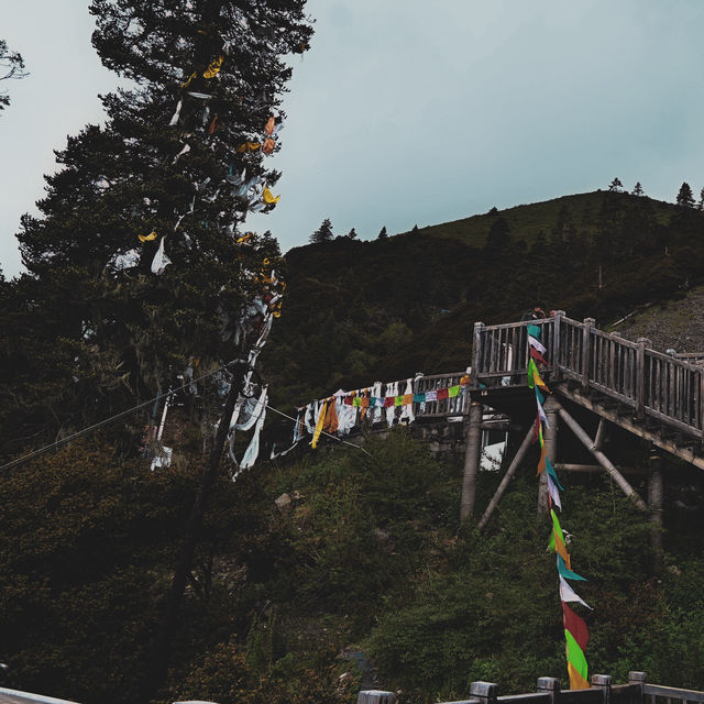 Tianlu Shiba Wan: A Thrilling Journey Along China's Winding Roads