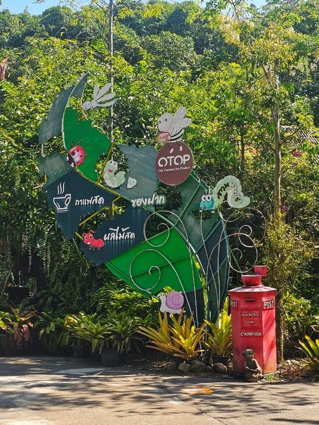 สวนนายดำ
