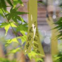 【京都】風鈴といえば「正寿院」