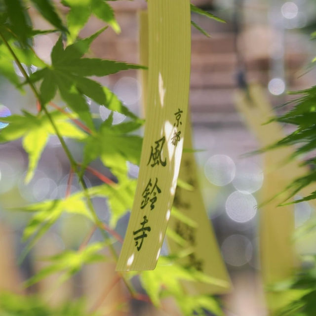 【京都】風鈴といえば「正寿院」