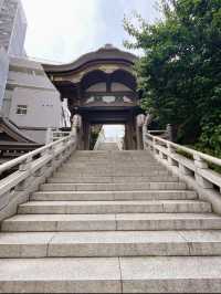 学問の神様⛩✨東京・湯島天満宮✨⛩