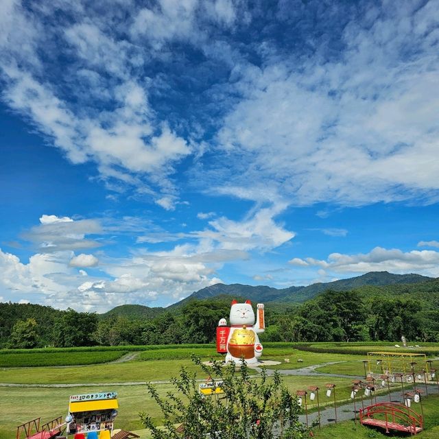 ฮิโนกิแลนด์(HINOKI LAND)