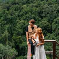 ไร่ชาลุงเดช เชียงใหม่