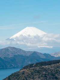 【ここどこ？】富士山を眺められる大きなブランコ!!!