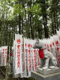 【愛知県 豊川】少し不気味な愛知県のパワースポット😱💓