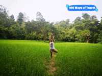 Back to Nature in Taman Negara Pahang