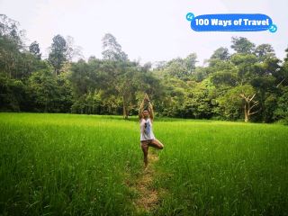 Back to Nature in Taman Negara Pahang