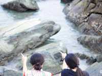 ดำน้ำดูปะการัง เที่ยวน้ำตก ชมป่าชายเลนที่เกาะช้าง