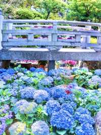 〜奈良県〜由緒あるお寺さん見られる紫陽花！絶景スポット